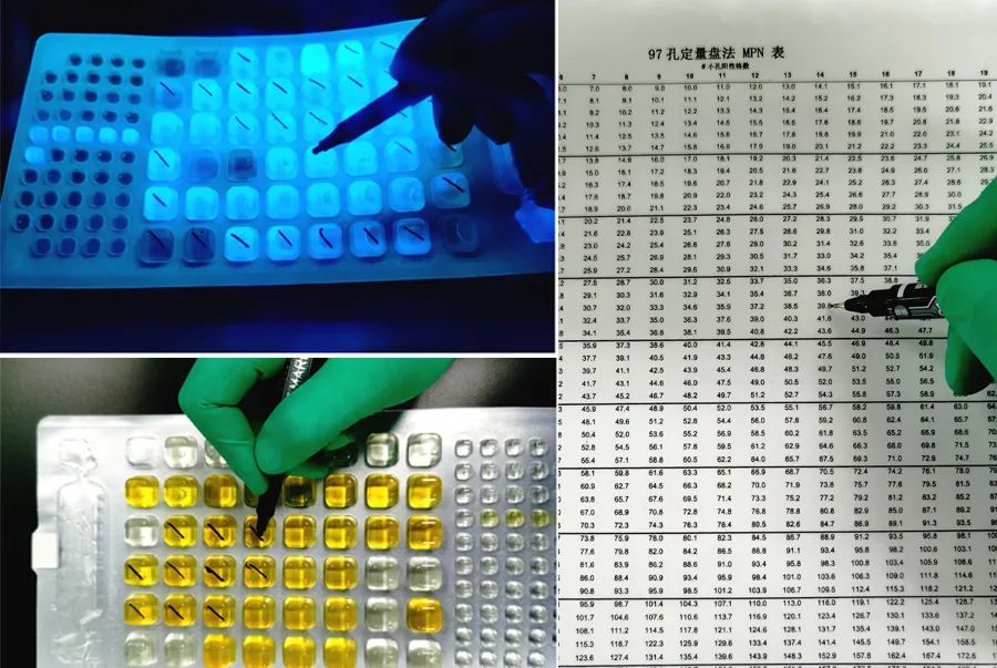 1655695577269785nGJT.jpg 640 (4).jpg